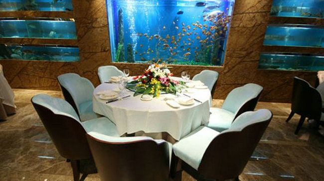 Four Seasons Rayli Hotel Ningbo Ristorante foto
